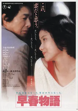 城中大盗 高清电影海报